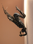 metamorphosis